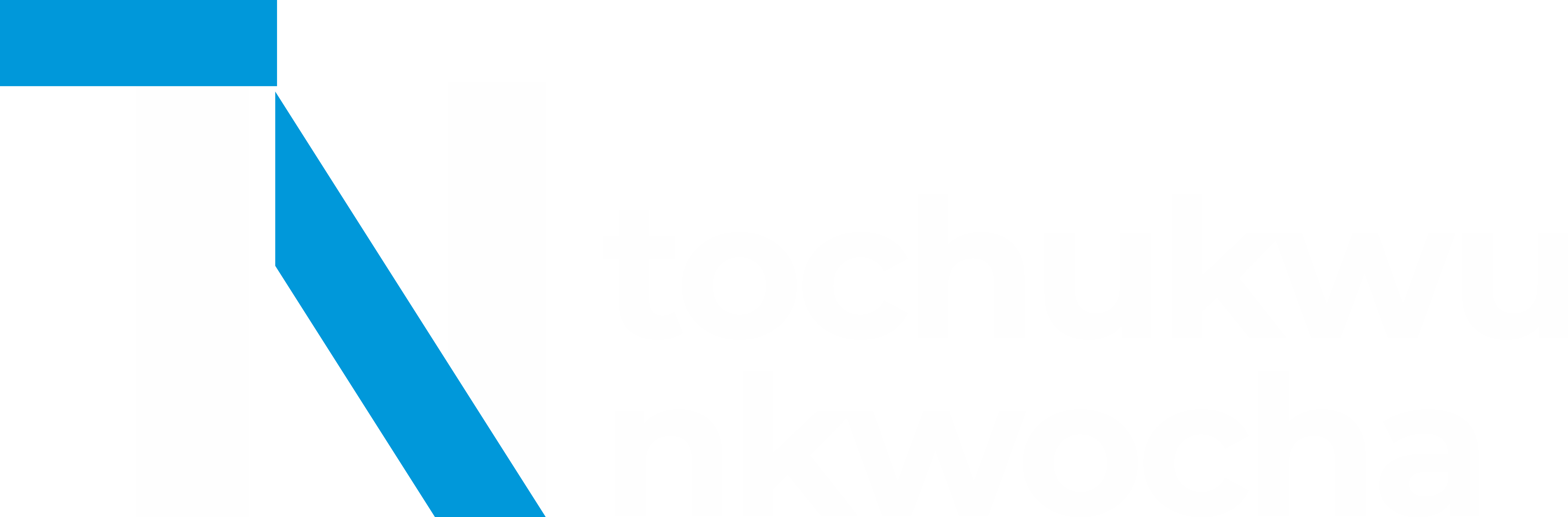 Tochukwu Nkwocha